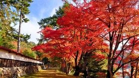 おススメの紅葉スポット