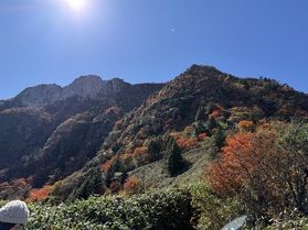 ひと足先に紅葉情報【石鎚山】