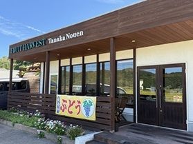 カフェ併設の【ぶどう】直売所 期間限定オープン中♪