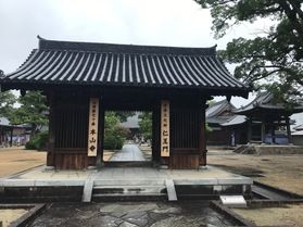 秋へんろの季節がやってきました