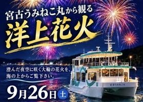海の上から楽しむ「うみねこ丸から観る 洋上花火」