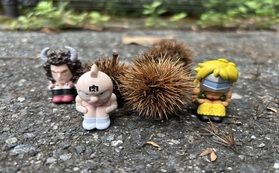 栗にびっくり(^_-)-☆