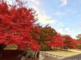 一足先に秋へ