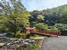 伊豆の山あいにひっそり佇む穴場の温泉