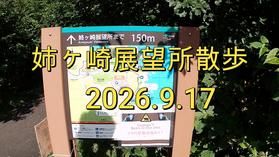 姉ヶ崎展望所散歩