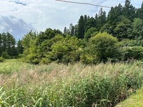 羽黒の小さい秋見つけた♪