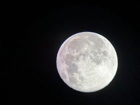 明日は中秋の名月