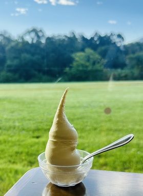 SOFTSERVE ICECREAM
