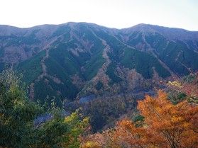 龍が天に昇るように見えるナメゴ谷