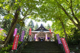 秋を感じながら歩く【パワースポット関山神社さんぽ】