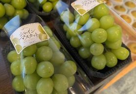これでお土産も安心 房のままぶどうの鮮度を保つ裏技