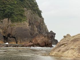 カエル島って、本当にカエルに見える?