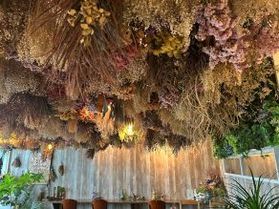 ドライフラワーに包まれて癒される【Adorer Cafe】