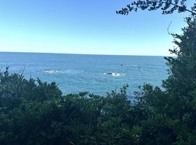 海風と森の空気に包まれて。