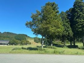 庄内の秋の原風景