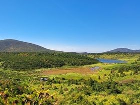 山の紅葉はじまりました!~一切経山~