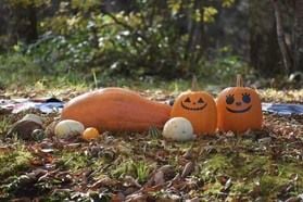 秋のマルシェ「くるまる、ほくほく。」