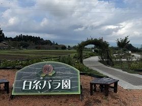 ❁今月中旬頃が見頃になりそうです❁