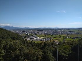 願いが叶いますように…