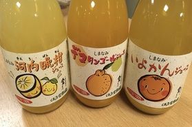 愛媛ならでは！みかんジュース飲み比べ