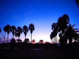 大久野島のお散歩はオススメ♪