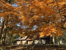 休暇村帝釈峡園内の紅葉スポットを紹介!