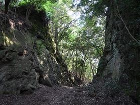 立派な切り通しがある熊野古道「駿田峠」