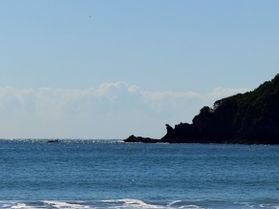 弓ヶ浜でゴジラを発見しました。