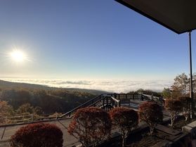 紅葉と雲海が織りなす、秋だけの絶景
