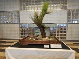 豊岡の歴史を紡ぐ『柳行李』