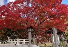 オススメの紅葉スポット土津（はにつ）神社