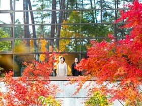 秋色に染まる信州🍁