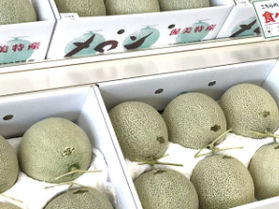 秋でも渥美特産メロンが買える!食べられる!お店はココ