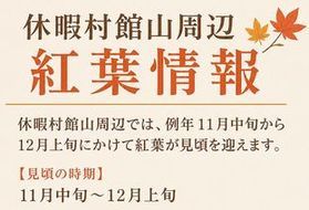 🍂『紅葉情報』周辺スポットご紹介
