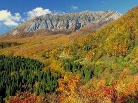 紅葉が楽しめる宿♪休暇村奥大山へようこそ!