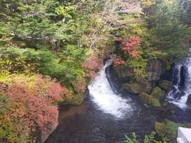 奥日光紅葉情報　龍頭の滝編
