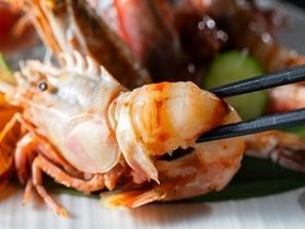 春旅は竹野海岸へ☆彡春グルメ・お得情報　