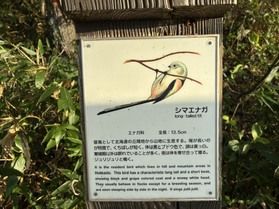 休暇村園地内の小鳥の案内板🐦