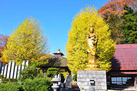 10月も福王寺 御縁日が開催!