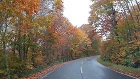 八幡平の紅葉情報