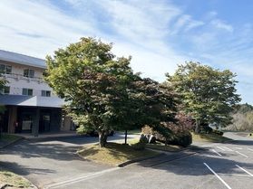 【帝釈峡紅葉情報2026】最新の紅葉状況をお届け！③