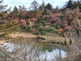紅葉がすすんできました♪ 群馬県の紅葉スポット