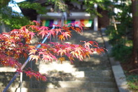 白峯寺特別ライトアップ