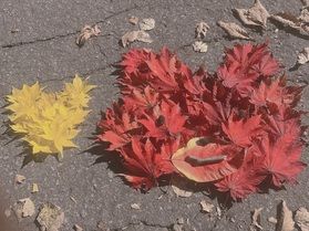 鹿沢インフォメーションセンターと紅葉