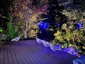 夜のライトアップ✨