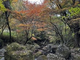 普段は立ち入れない秘境の紅葉~マゼノ渓谷~