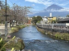 水辺の風景と川のせせらぎ