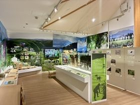 雨の日こそ楽しもう！南阿蘇ビジターセンターの魅力をご紹介