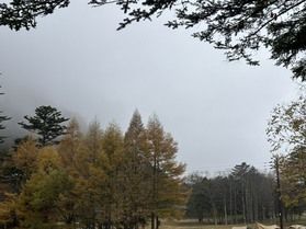 雨の日の奥日光