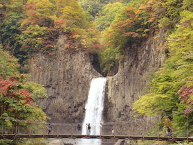 妙高山麓線　運行は11月３日まで！